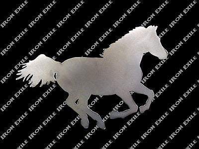 Horse Running