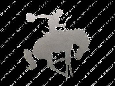 Rodeo Horse