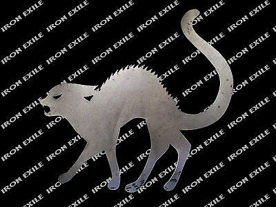 Halloween Cat