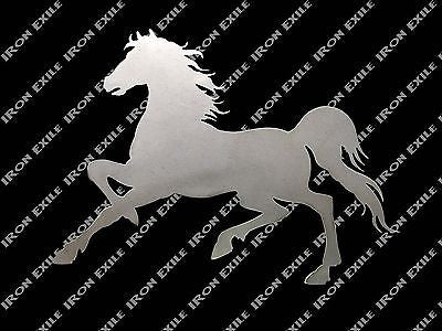 Horse Prancing
